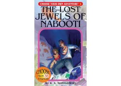 Choose Your Own Adventure: #4 The Lost Jewels of Nabooti